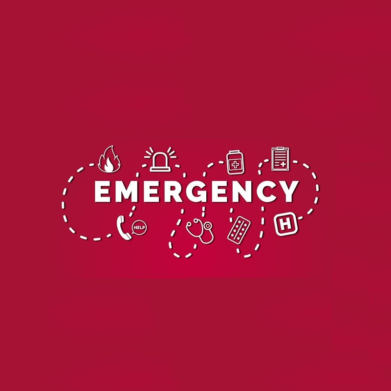 Crises and Emergency Management